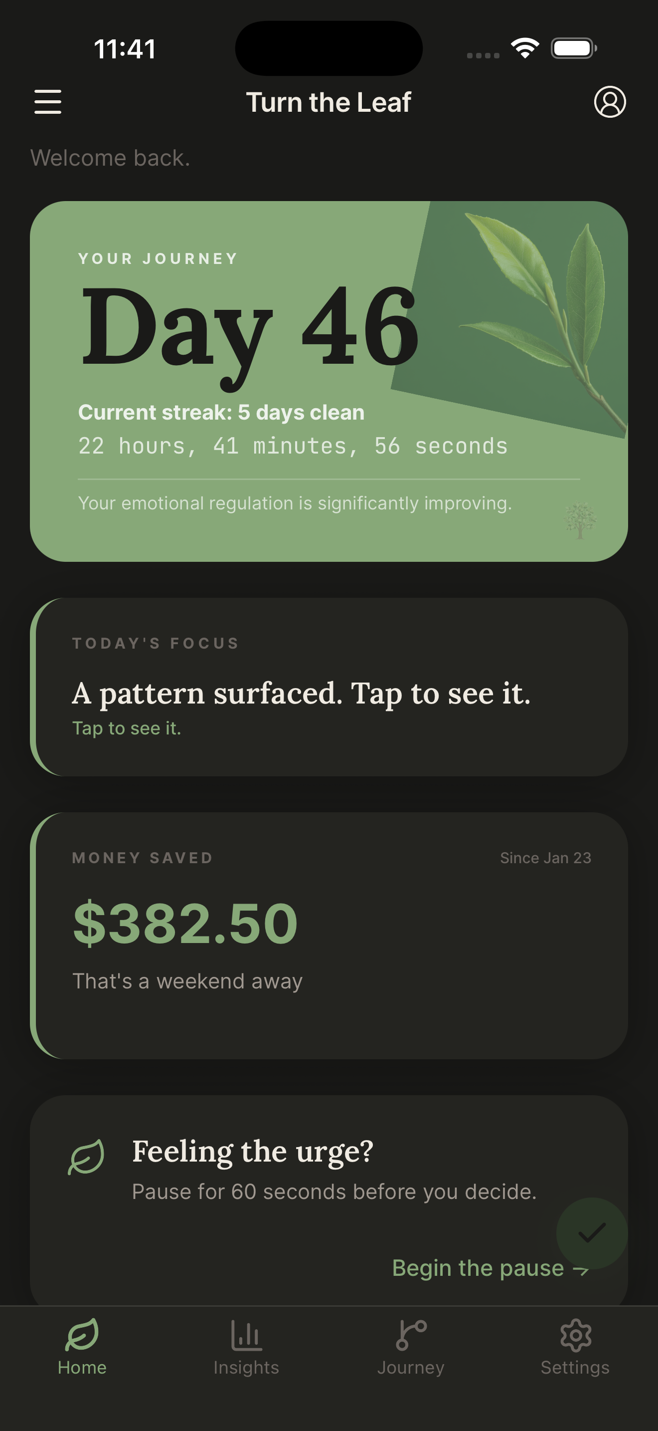 Turn the Leaf cannabis quit tracker app showing Day 46, streak counter, money saved, and craving pause tool