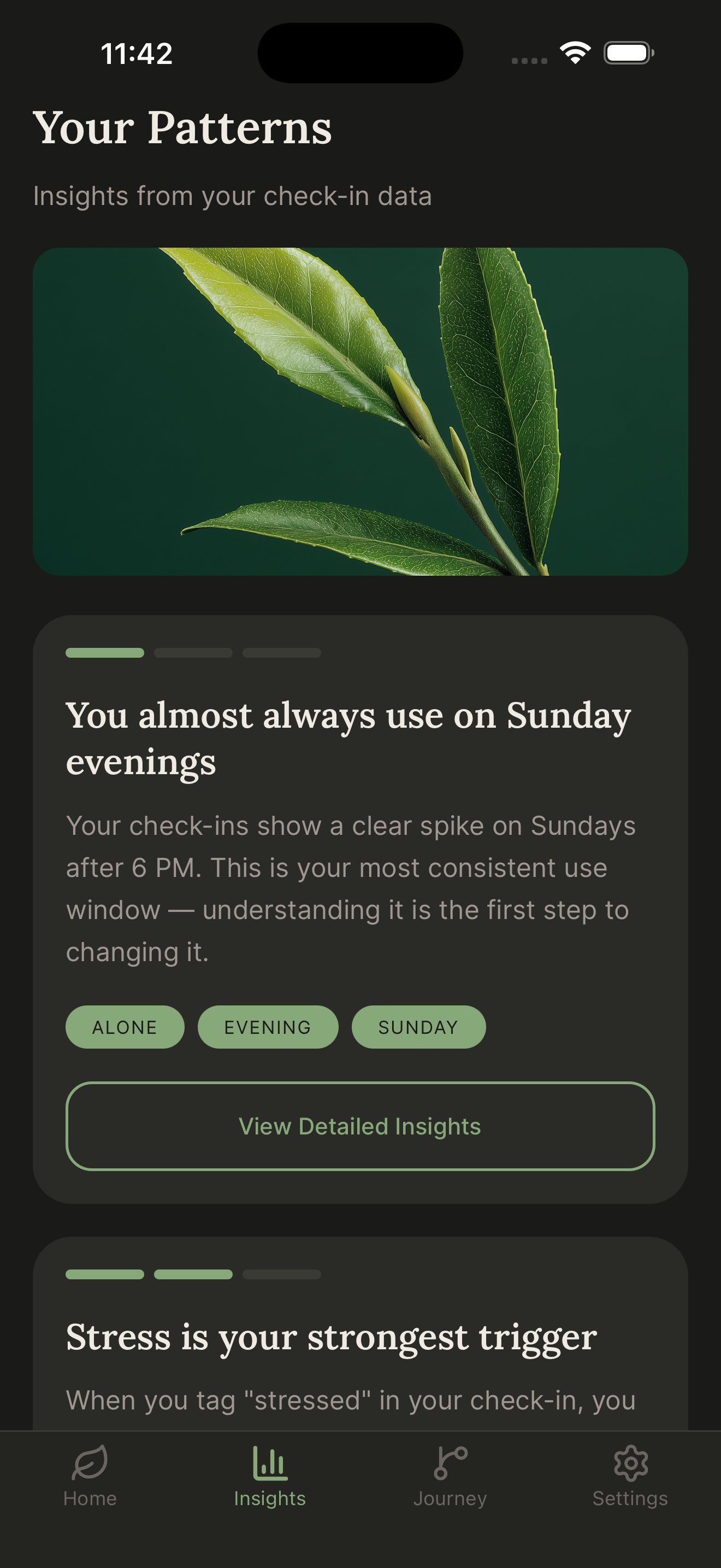 Cannabis craving pattern insights showing usage patterns by day of week, time, and emotional context